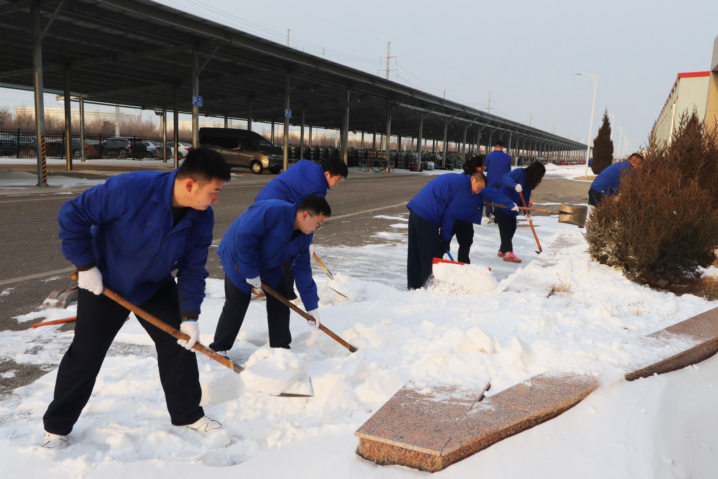 ³ýÑ©5.jpg ³ýÑ©5.jpg