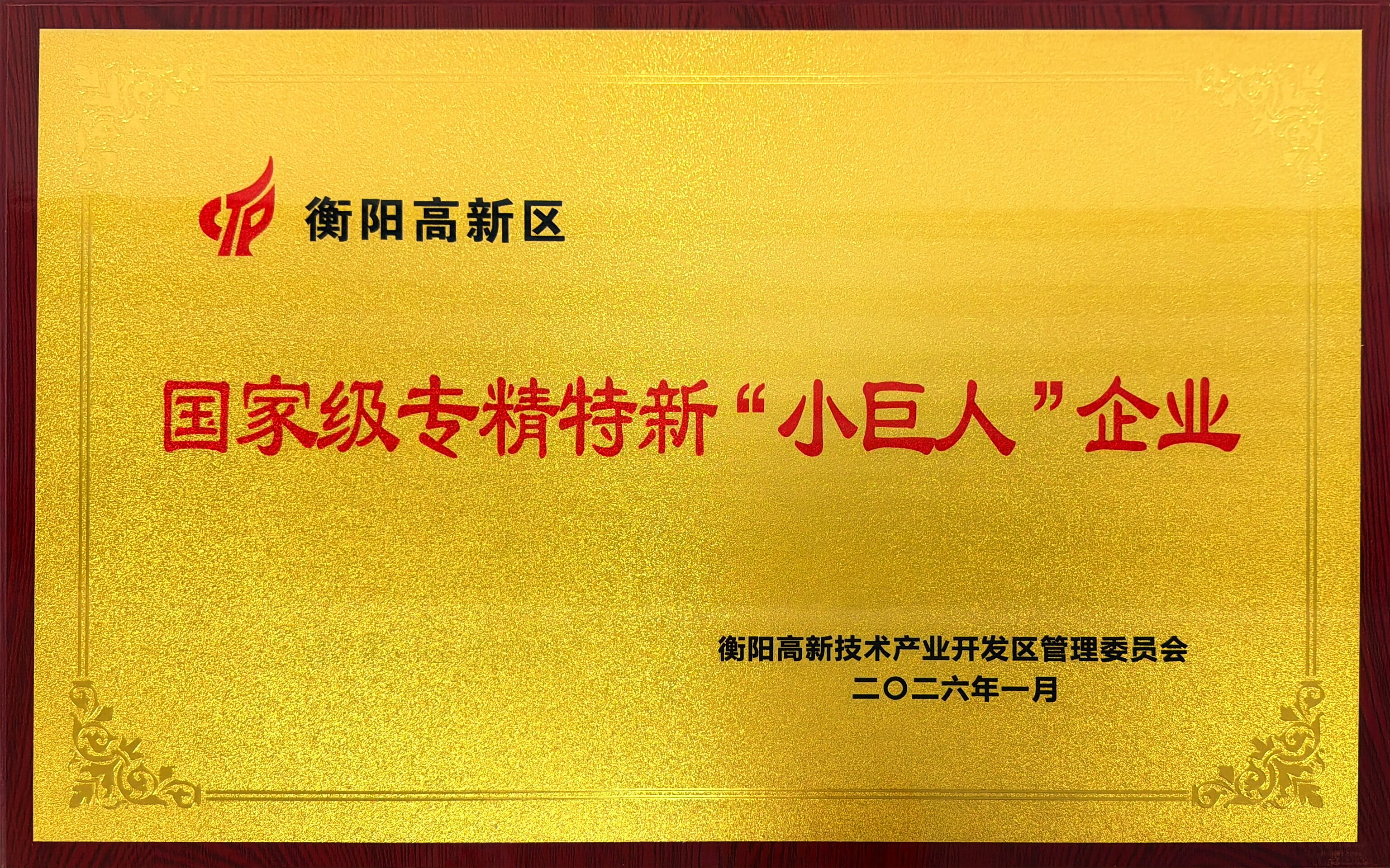 国家小巨人企业牌匾.jpg 国家小巨人企业牌匾.jpg