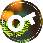 ��������(�й�)���޹�˾�ٷ���վ