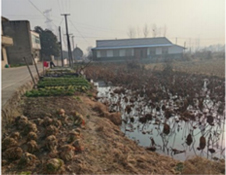 ��������(�й�)���޹�˾�ٷ���վ